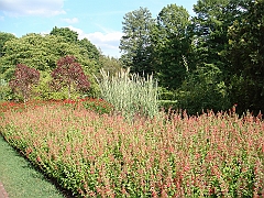 189 Longwood Gardens [2008 August 23]